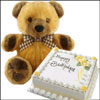 Cute Teddy - Click here to View more details about this Product